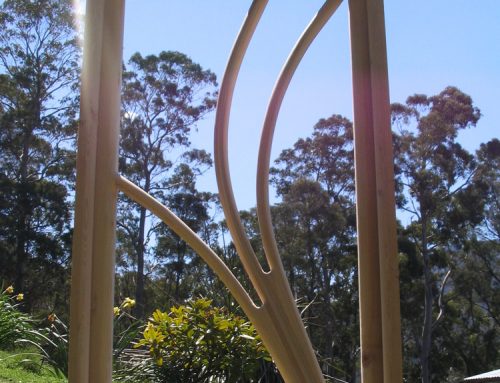 Celery Top Pine Window